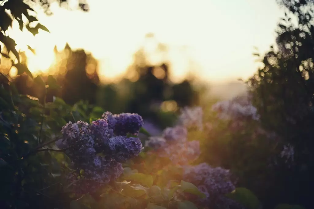 Sleep and Weight: The Surprising Link Between Sleep Deprivation and Weight Gain